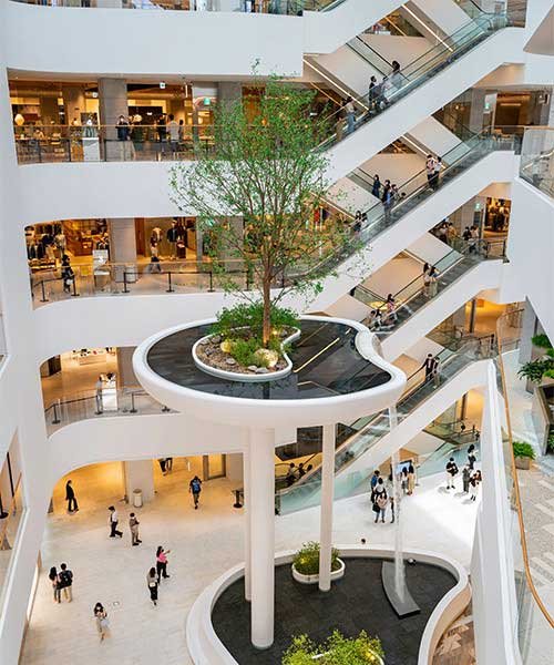 مساحات خارجية بإنترلوك وبندورة — شركة الهواري